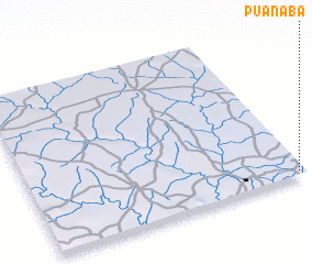 3d view of Puanaba