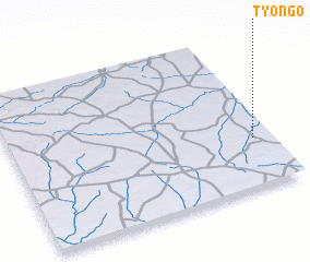 3d view of Tyongo