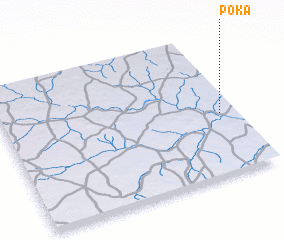 3d view of Poka