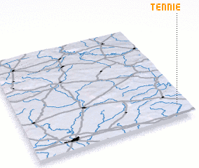 3d view of Tennie