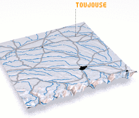 3d view of Toujouse
