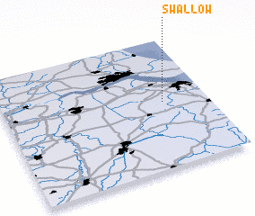 3d view of Swallow