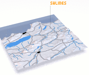 3d view of Salines