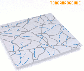 3d view of Tongawabgoudé