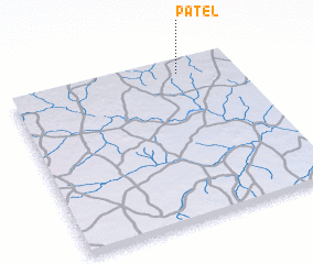 3d view of Patel