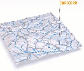 3d view of Capicorp