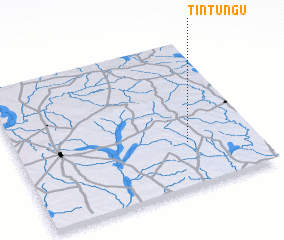 3d view of Tintungu