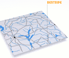 3d view of Bentripe