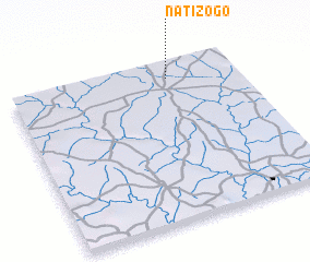 3d view of Natizogo