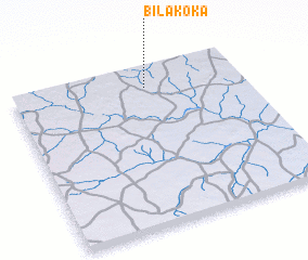 3d view of Bilakoka