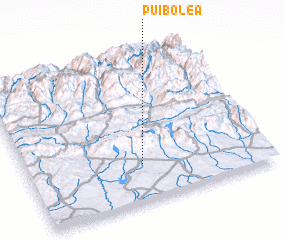 3d view of Puibolea