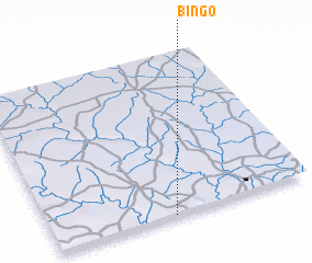 3d view of Bingo