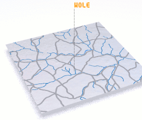 3d view of Wolé