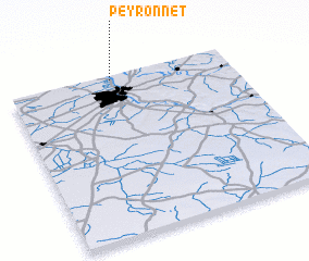 3d view of Peyronnet