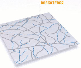 3d view of Nobgatenga