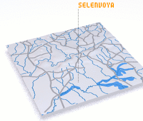 3d view of Selenvoya
