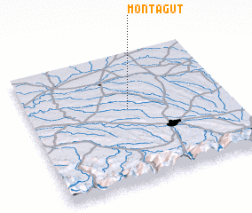 3d view of Montagut