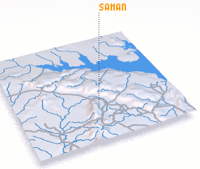 3d view of Saman