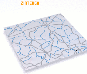 3d view of Zintenga