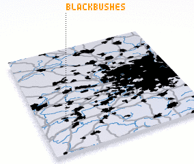 3d view of Blackbushes