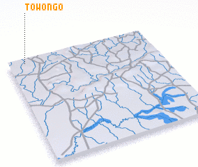 3d view of Towongo