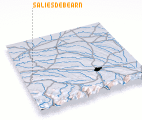 3d view of Salies-de-Béarn