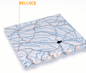 3d view of Bellocq