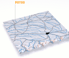 3d view of Puyoô