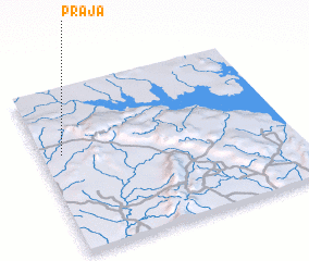 3d view of Praja