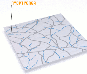 3d view of Nyoptyenga