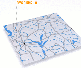 3d view of Nyankpala