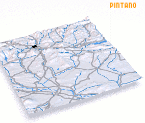 3d view of Pintano