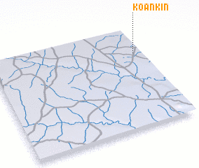 3d view of Koankin