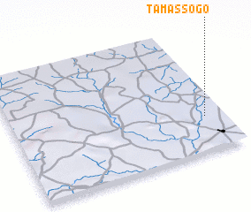 3d view of Tamassogo