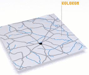 3d view of Kolokom