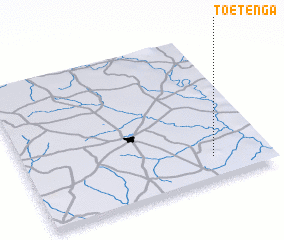 3d view of Toetenga