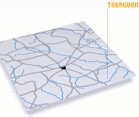 3d view of Toenguen