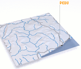 3d view of Pedu
