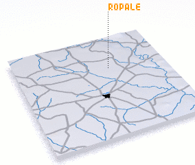 3d view of Ropalé