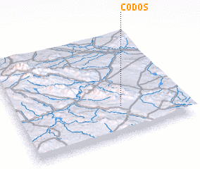 3d view of Codos
