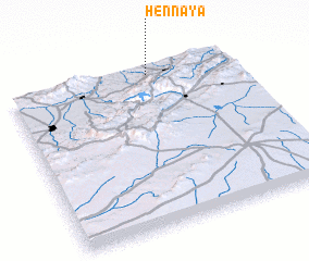 3d view of Hennaya