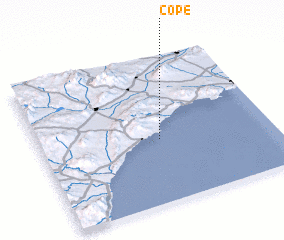 3d view of Cope