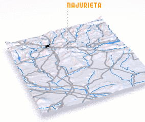 3d view of Najurieta