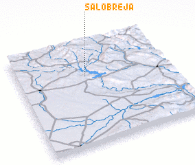 3d view of Salobreja