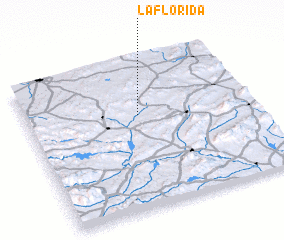 3d view of La Florida