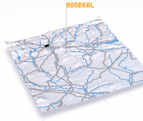 3d view of Monreal