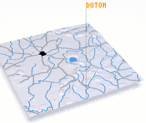 3d view of Dotom