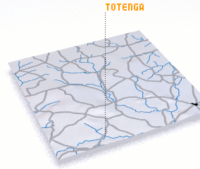 3d view of Totenga