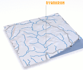 3d view of Nyankrom