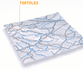 3d view of Tórtoles